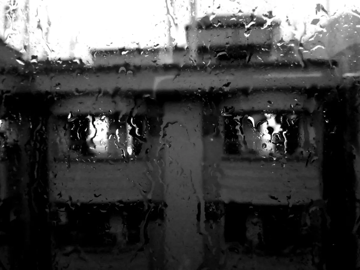 10 Essential Ambient Albums for Rainy British Days